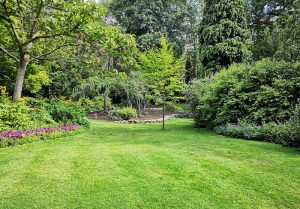 Optimiser l'expérience du jardin à Saint-Dié-des-Vosges